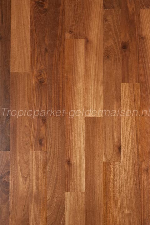 robinia top connect haro